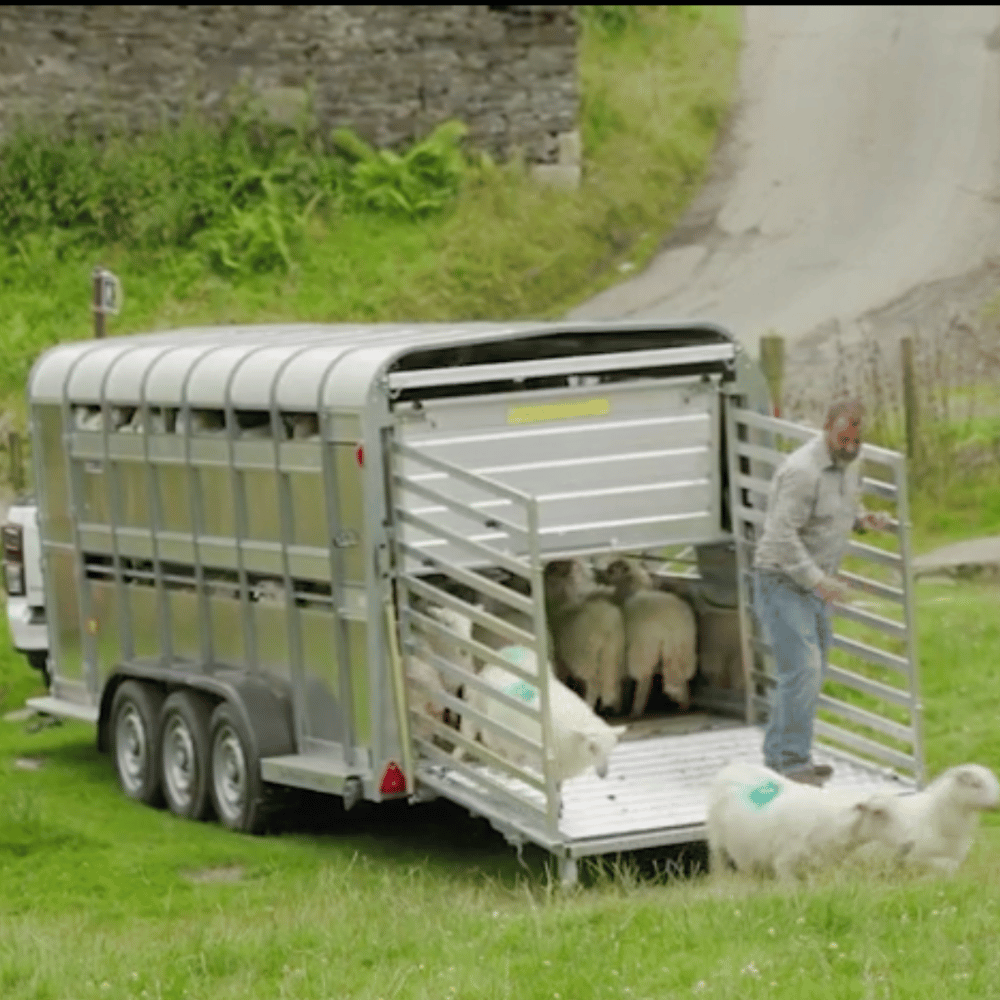 Livestock Trailer